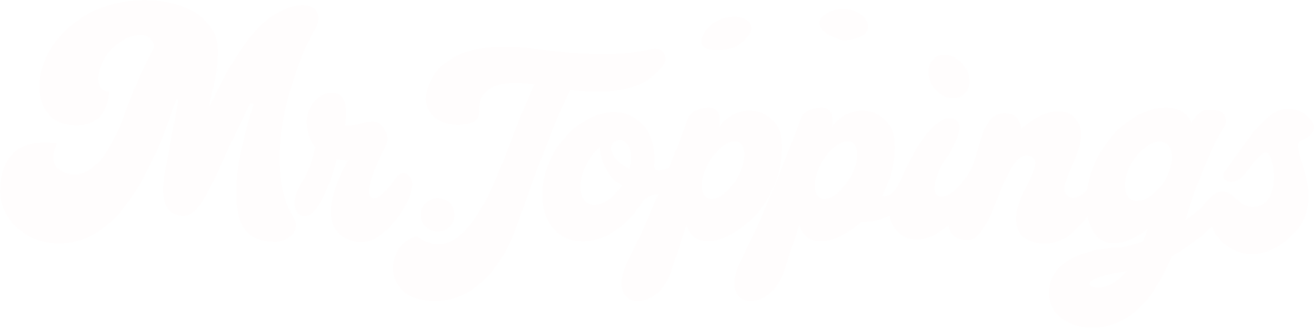 Mr. Toppings
